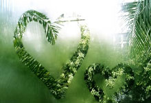 包含Rookie重要时刻出色发挥，公牛带队取胜！再创辉煌时刻的词条